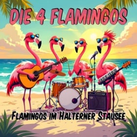 DIE 4 FLAMINGOS - FLAMINGOS IM HALTENER STAUSEE